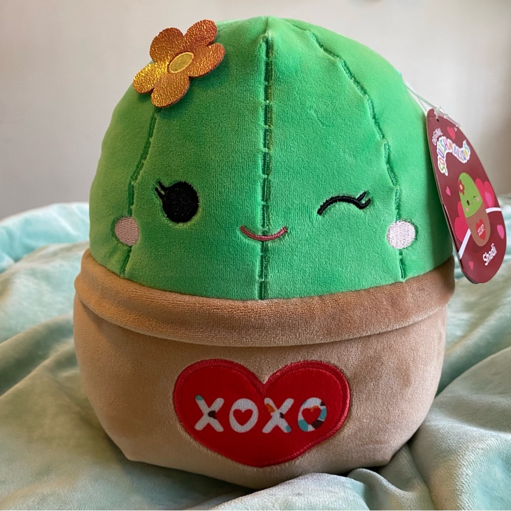 NWT Shadi the Cactus XOXO Valentines Day Squishmallow 8”